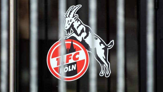 No more Corona cases at 1. FC Koln - what that means for the Bundesliga